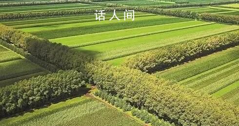 如果精神有顏色它一定在其中 一座綿延萬里的綠色長城正不斷延伸和擴(kuò)展