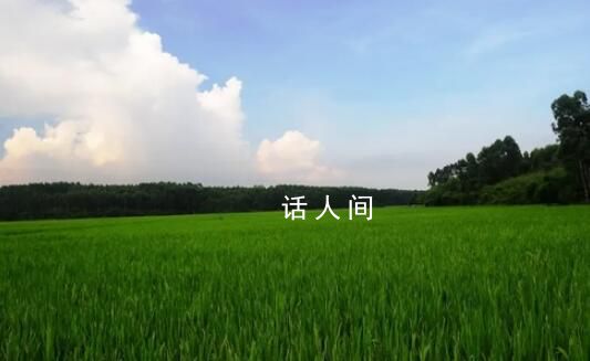 在希望的田野上 沃野千里萬物蔥蘢