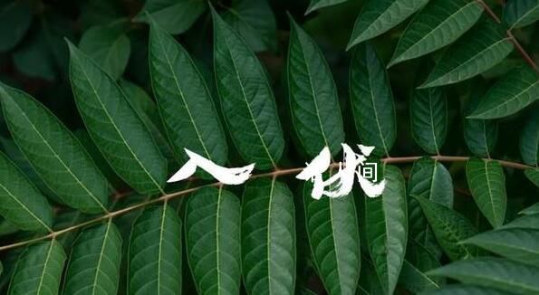 原來還有半個月才入伏 2023三九天是幾號開始幾號結束