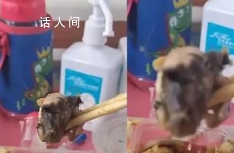 盒飯現鼠頭 院長:訂餐者無不良反應