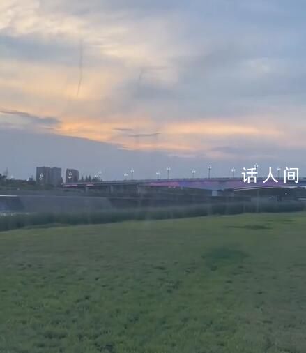 成都一草坪驚現上百條“蚊卷風” 蚊子呈螺旋狀一條一條的