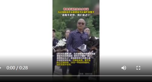 非洲的雜交水稻被帶到袁隆平墓前 如果沒有袁隆平老師馬達加斯加就沒有雜交水稻