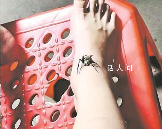 女孩被蛇咬傷奶奶抓蜘蛛吸毒 導(dǎo)致其毒上加毒腳腫嚴(yán)重