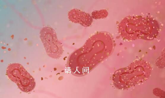 多地多人確診 如何避免感染猴痘病毒