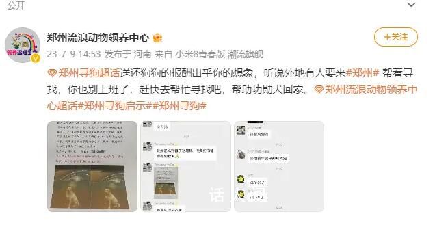 鄭州狗主懸賞1000萬人民幣尋狗 提供重要線索者獎勵200萬人民幣