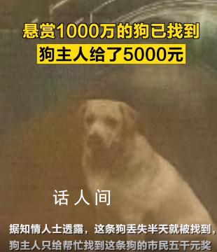 懸賞千萬的狗已找到 主人給了5000