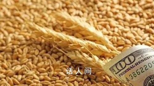 全球高溫或推高糧食價格 世界剛剛經歷了有記錄以來最熱的一周