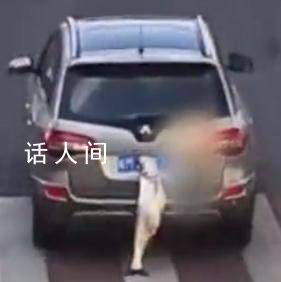 男子炫耀釣到大魚掛后備箱示眾 網友：釣魚佬是這樣的