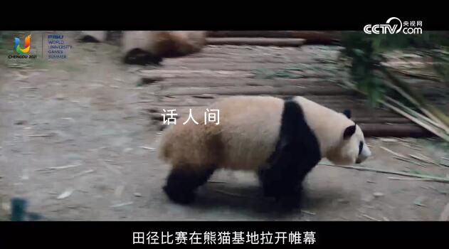 成都動起來,世界看過來