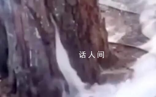 高溫天氣西安一行道樹冒白煙 消防員趕到進行噴水處理