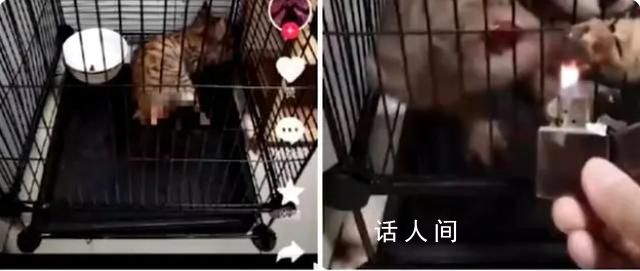 重慶虐貓大學生已送醫做抑郁癥鑒定 送醫鑒定結果未公布