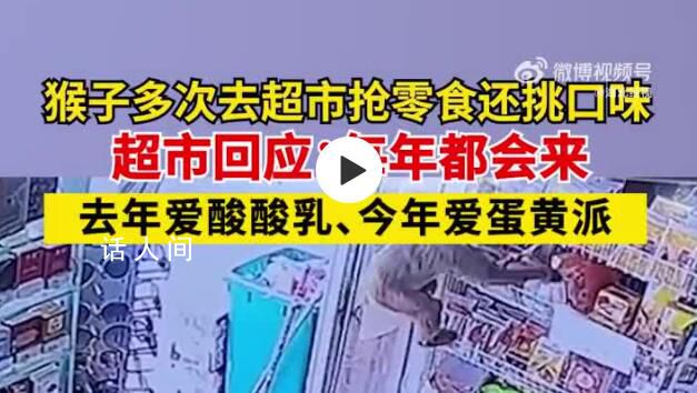 猴子4小時(shí)去超市連偷3次 引起了廣大市民的關(guān)注和討論