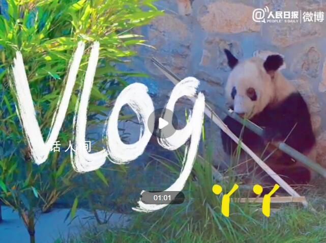 丫丫vlog合集 60秒看丫丫視頻直拍