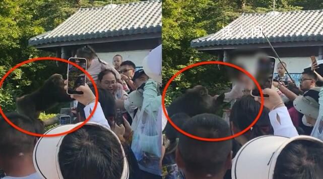 女童被峨眉山猴子撕拽搶奪食物 現(xiàn)場(chǎng)游客驚呼大叫