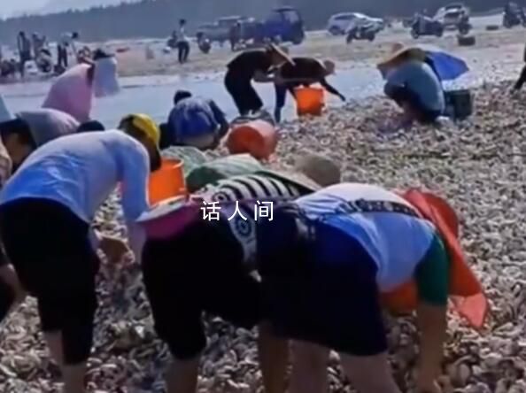 臺風送來大量生蠔海鮮 市民拎麻袋裝