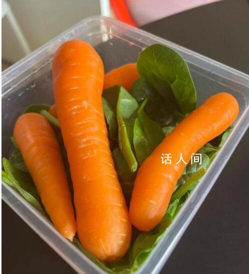 白人飯是什么梗 白人飯是什么意思