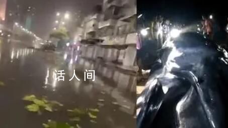 臺風泰利登陸:鯨魚被沖上岸引圍觀