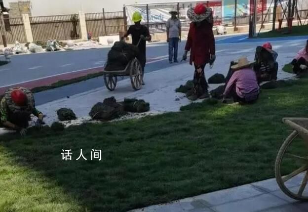 樓盤綠化面積不夠 開發商鋪草坪充數