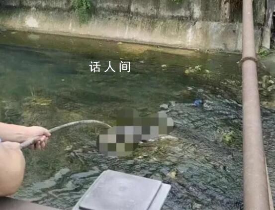 江西一河中驚現碎尸?警方回應