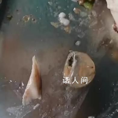 “鴨眼球膜”事件被開除的廚師怎么辦