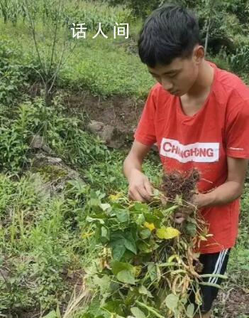 涼山小伙考上北大 錄取前還在干農活