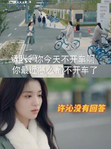 許沁不敢向同事坦誠(chéng)沒(méi)車(chē)了 許沁的角色行為引起熱議