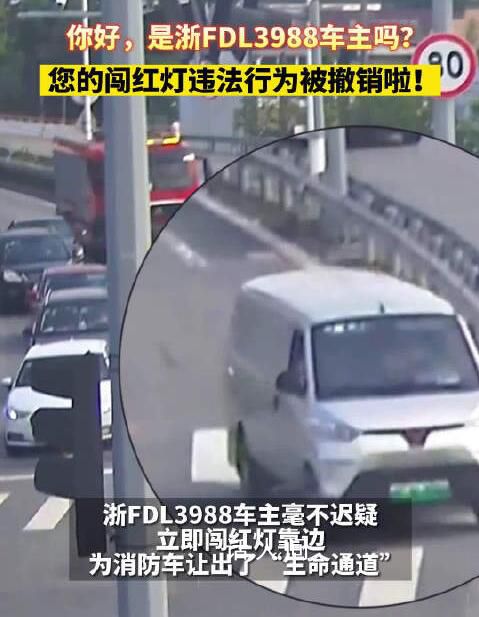 浙FDL3988闖紅燈違章已撤銷 網友：為浙FDL3988車主點贊