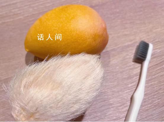 年輕人給芒果核梳毛被指不務(wù)正業(yè) 精神寄托類似大學(xué)生養(yǎng)紙狗