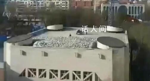 齊齊哈爾體育館坍塌事故已致10死 尚有1人被困