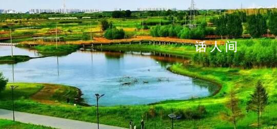 黑龍江多地“大暑”不暑 大暑節氣卻不是最熱的節氣