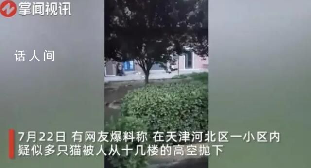 天津一小區15只貓墜亡 警方回應