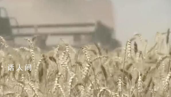 普京:西方“吸塵器”般掃蕩糧食