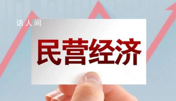 促進(jìn)民營經(jīng)濟(jì)做大做優(yōu)做強(qiáng) 依法依規(guī)為其解難題辦實事