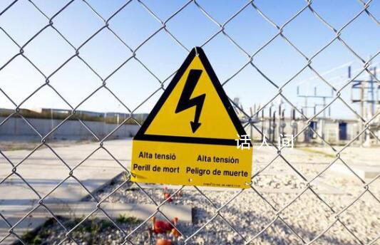 小狗觸電身亡男子守2小時(shí)提醒路人 讓我們感動(dòng)不已