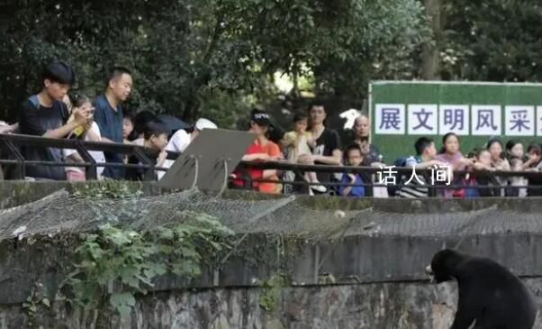 杭州動物園這只熊火了 人里人氣的它是世界上最小的熊