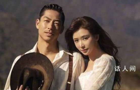 林志玲回應家暴傳聞 希望大家不要再為一看就很假的不實網絡謠言操心和傳播了