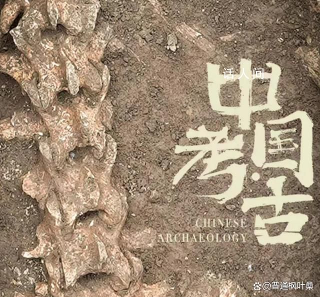 漢文帝霸陵殉葬坑發現大熊貓骨骼 里面埋葬了許多珍禽異獸