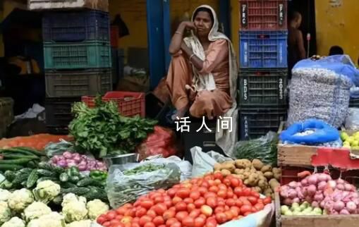 印度西紅柿危機 隱藏一個農業大問題