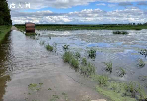采煤致5萬畝耕地嚴重沉降?官方回應(yīng)