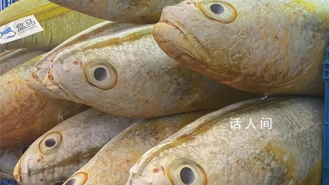 “大黃魚抱枕”被炒到666元 引起了眾多觀眾的注意和喜愛