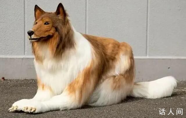 日本男子扮成狗去公園交狗朋友 世界之大無奇不有