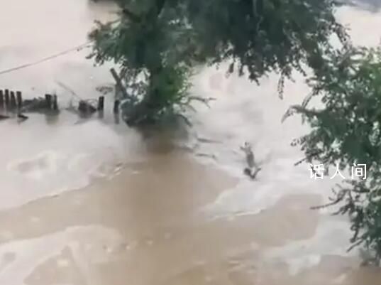 河北蓄滯洪區(qū)住房按水毀損失70%補(bǔ)償