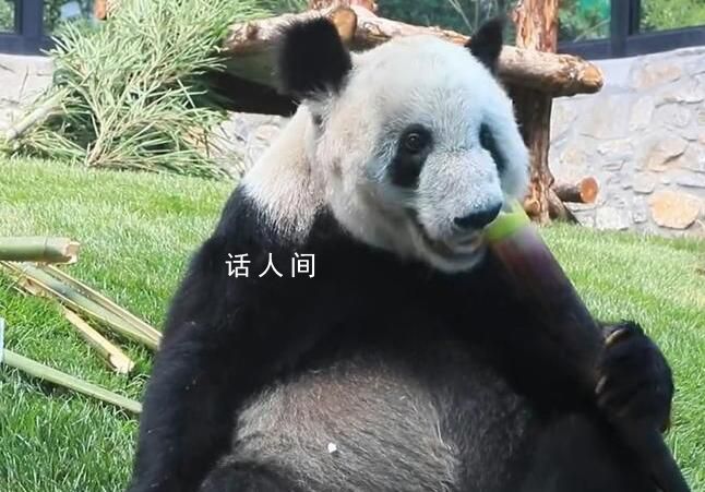 丫丫干飯名場面 一人一句祝丫丫生日快樂