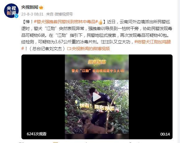 警犬強拽著民警找到密林中毒品 汪汪隊又立大功