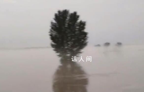 保定一洗浴中心接納200人免費(fèi)住 當(dāng)?shù)匕l(fā)現(xiàn)險(xiǎn)情及時(shí)預(yù)警