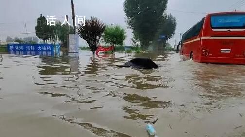 小伙給涿州災民送物資遭哄搶指責 還罵我們是來撈錢的