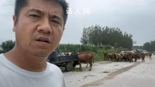 五常農民:水稻全完了 淹了三個鄉鎮