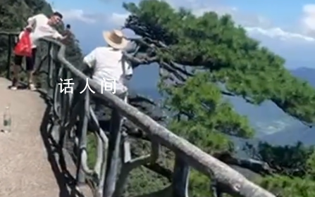 老人坐在懸崖邊的迎客松上拍照 這一幕看得人膽戰心驚