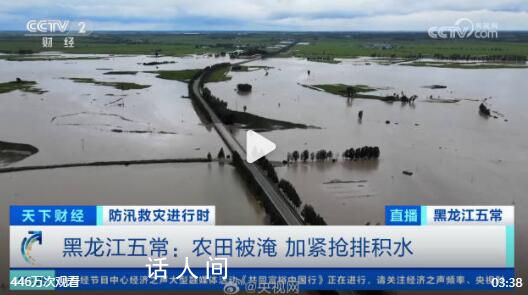 五常市農(nóng)田被淹水面連在一起 被淹農(nóng)田正加緊搶排積水