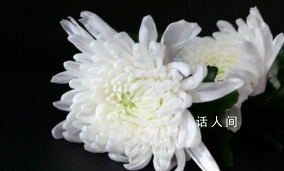 北京門頭溝龍泉鎮副鎮長救災中遇難 劉捷簡歷個人資料